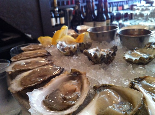 oysters 1